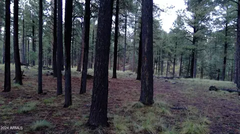 1864 Quilt Country Dr #780, Forest Lakes, AZ 85931
