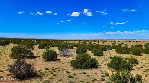 tbd N6655 4049 Acres -- #-, Saint Johns, AZ 85936