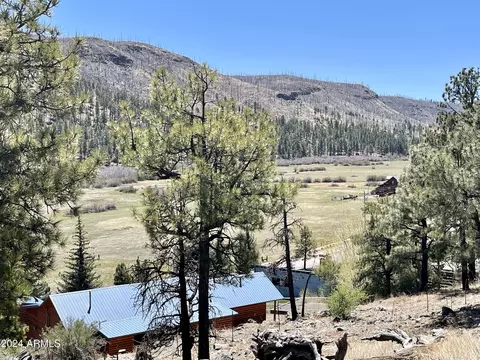 2 E County Road 1013 Rd #12, Greer, AZ 85927