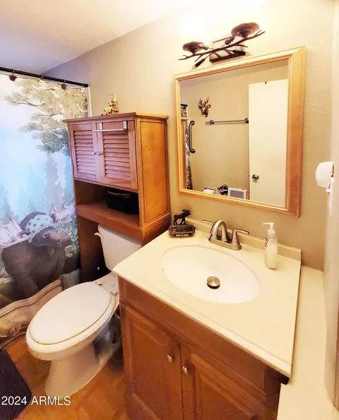4041 N Apache Trl, Pine, AZ 85544 photo 32
