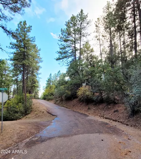 4041 N Apache Trl, Pine, AZ 85544 photo 44