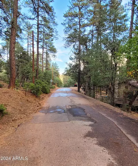 4041 N Apache Trl, Pine, AZ 85544 photo 43