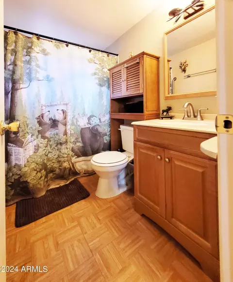 4041 N Apache Trl, Pine, AZ 85544 photo 31