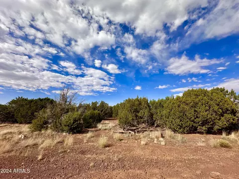 39 Alabama Ave #36, Concho, AZ 85924