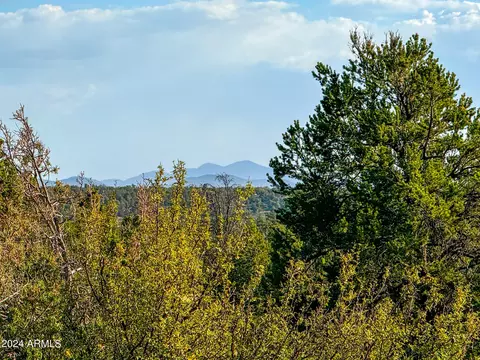 8291 Red Butte Rd #216, Williams, AZ 86046