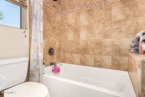 1023 E Canyon St, Apache Junction, AZ 85119 photo 26