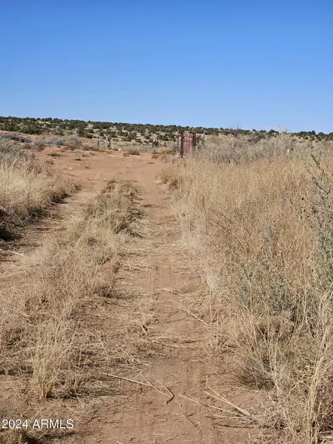 6471 River Rd, Woodruff, AZ 85942 photo 41