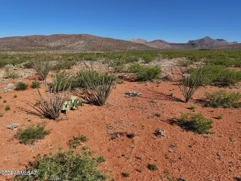 tbd Silver Creek Ranch Rd 39 Acre -- #-, Douglas, AZ 85607
