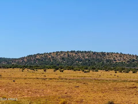 Antelope Valley Ranches Lot 18 37 Acres -- #-, Seligman, AZ 86337