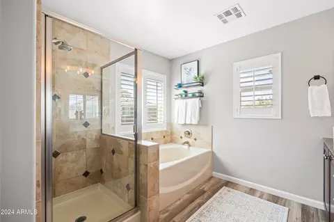 Bath - 3255 E Milky Way, Gilbert, AZ 85295 photo 3 of 5