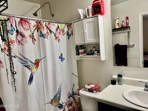 5817 E Oasis Blvd, Florence, AZ 85132 photo 23