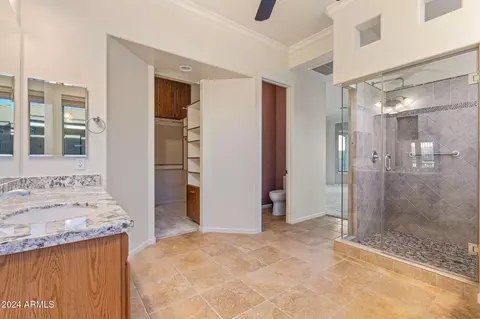 Bath - 248 E Julian Dr, Gilbert, AZ 85295 photo 6 of 9