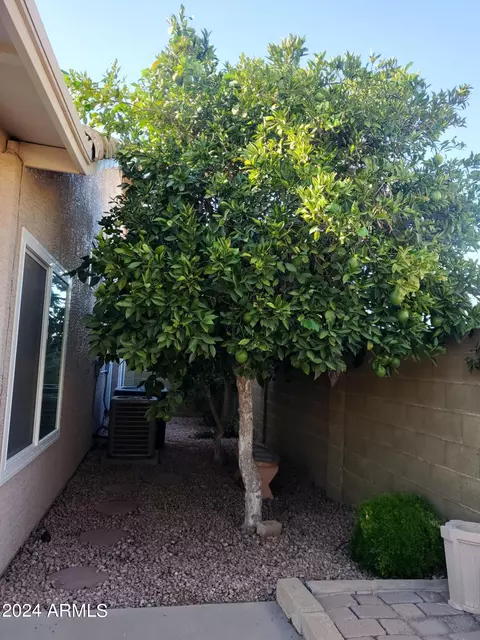 4149 E Stanford Ave, Gilbert, AZ 85234 photo 8