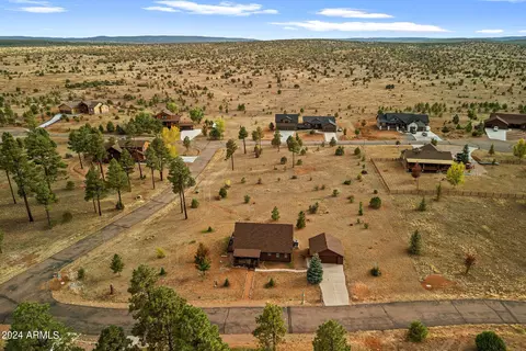 View/Area - 2245 Bear Claw Dr, Overgaard, AZ 85933 photo 2 of 5