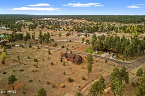 View/Area - 2245 Bear Claw Dr, Overgaard, AZ 85933 photo 4 of 5