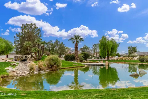 1341 E Salado Cir, Mesa, AZ 85203 photo 88