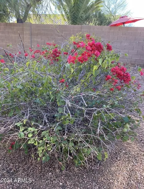 2015 W Hasan Dr, Phoenix, AZ 85041 photo 29