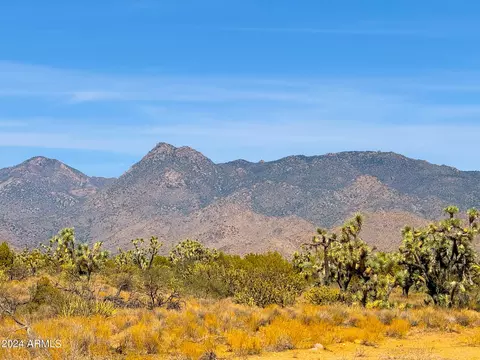tbd Alamo Rd 4472 Acres -- #-, Yucca, AZ 86438