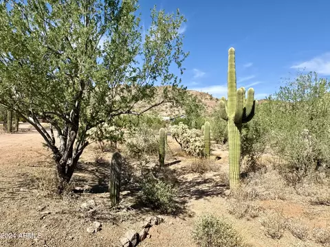 865 W Saddle Butte St, Apache Junction, AZ 85120 photo 34