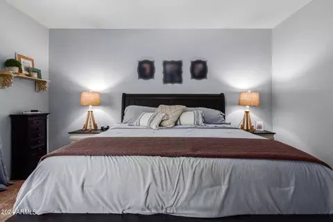 4257 E County Down Dr, Chandler, AZ 85249 photo 22