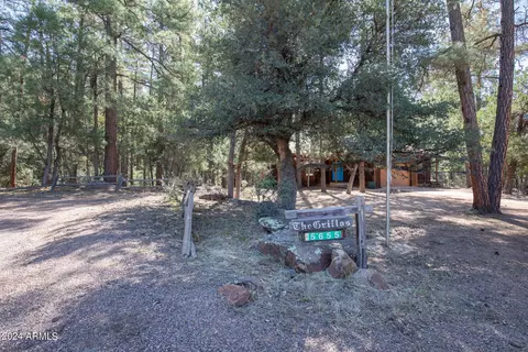 5655 W Karla Ct, Pine, AZ 85544 photo 26