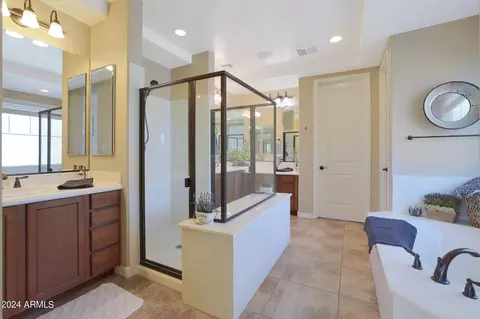 Bath - 3669 E Morrison Ranch Pkwy, Gilbert, AZ 85296 photo 2 of 7