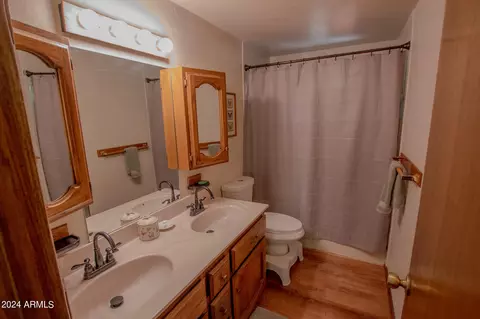 Bath - 193 E Saddle Mountain Rd, Payson, AZ 85541 photo 2 of 3