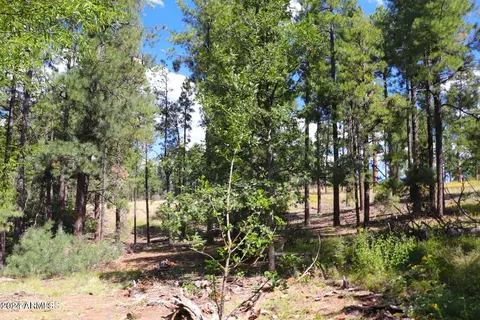 705 Kiowa --, Flagstaff, AZ 86005 photo 2