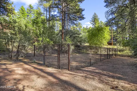 3098 N Cletus Ray Dr, Pine, AZ 85544 photo 49