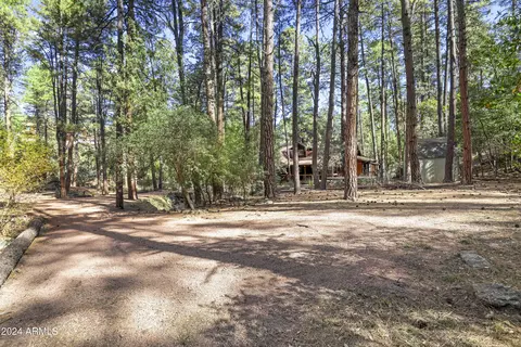 3098 N Cletus Ray Dr, Pine, AZ 85544 photo 37
