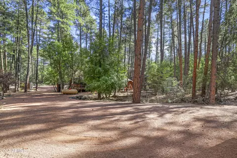 3098 N Cletus Ray Dr, Pine, AZ 85544 photo 38