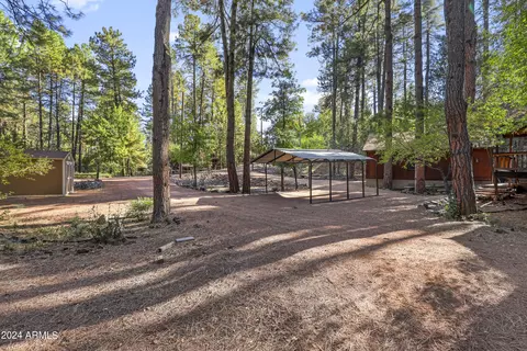 3098 N Cletus Ray Dr, Pine, AZ 85544 photo 42