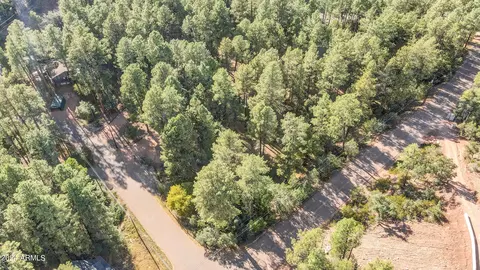 3098 N Cletus Ray Dr, Pine, AZ 85544 photo 55