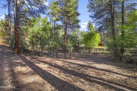 3098 N Cletus Ray Dr, Pine, AZ 85544 photo 48