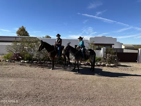1422 E Serena Dr, Tombstone, AZ 85638