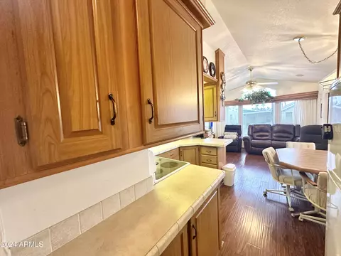 188 S Mineshaft Dr #188, Apache Junction, AZ 85119 photo 29
