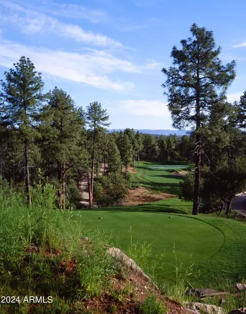 2608 Elk Run Ct, Payson, AZ 85541 photo 54