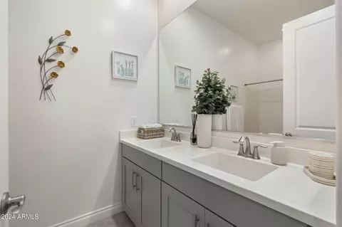 Bath - 9766 E Thatcher Ave, Mesa, AZ 85212 photo 4 of 5
