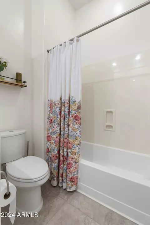 Bath - 9766 E Thatcher Ave, Mesa, AZ 85212 photo 5 of 5