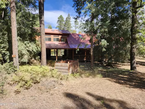 40 County Road 2066 --, Alpine, AZ 85920