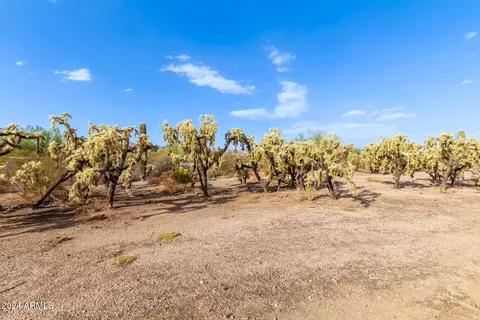 174 W Smoketree St #-, Apache Junction, AZ 85120 photo 15