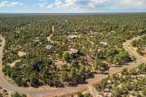 View/Area - 2946 N Lodgepole Rd, Overgaard, AZ 85933 photo 3 of 4