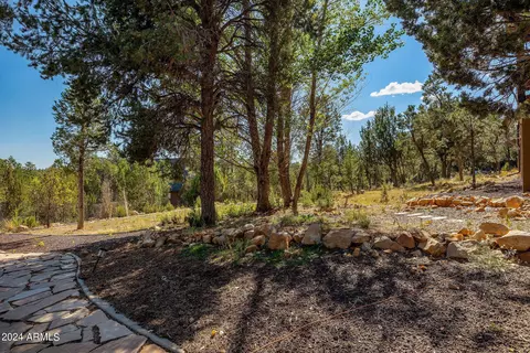 Exterior - 2946 N Lodgepole Rd, Overgaard, AZ 85933 photo 4 of 21