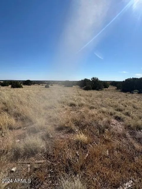 4481 Indian Bend Rd #212, Snowflake, AZ 85937