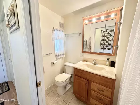 477 S Iron Ore Dr, Apache Junction, AZ 85119 photo 52