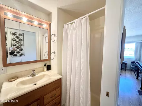 477 S Iron Ore Dr, Apache Junction, AZ 85119 photo 53