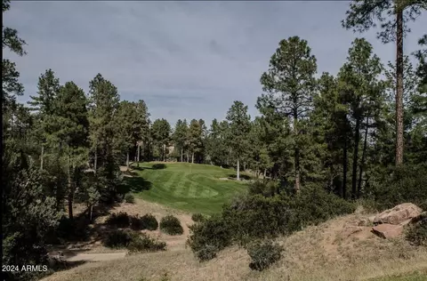 Other - 2100 N Grapevine Dr, Payson, AZ 85541 photo 21 of 30