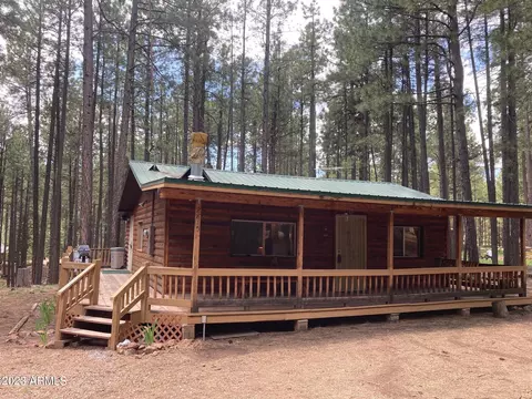 2815 N Wildcat Rd, Forest Lakes, AZ 85931
