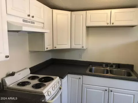 2545 E Culver St, Phoenix, AZ 85008 photo 8