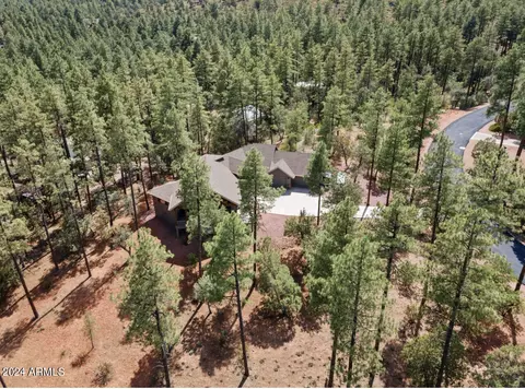 4077 W Forest Ct W, Pine, AZ 85544 photo 3